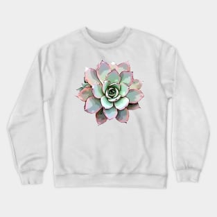 White Rose Echeveria Crewneck Sweatshirt